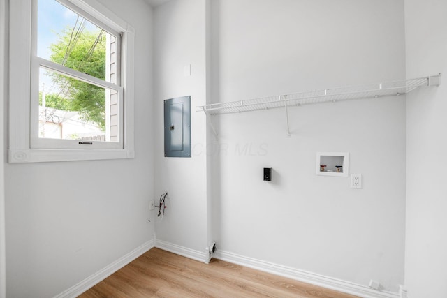 1116 Summit St Unit 1114, Columbus, OH 43201 - laundry room featuring electric panel, light wood-type flooring, baseboards, hookup for an electric dryer, and hookup for a washing machine
