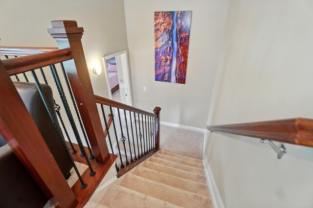 6368 Casado Dr, Columbus, OH 43213 - stairway featuring carpet and baseboards