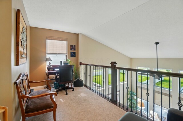 6368 Casado Dr, Columbus, OH 43213 - office space featuring carpet flooring, plenty of natural light, lofted ceiling, and baseboards