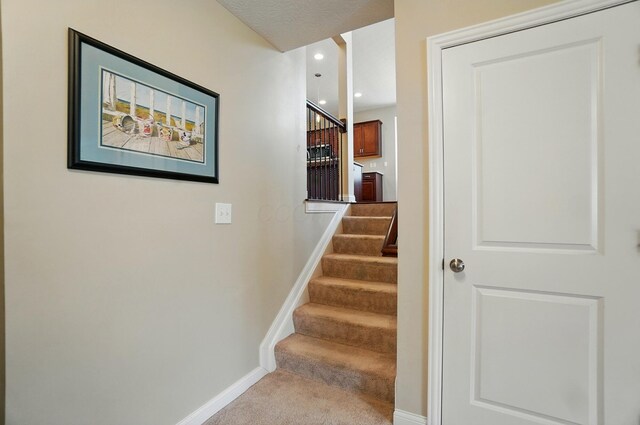 6368 Casado Dr, Columbus, OH 43213 - staircase featuring baseboards, carpet floors, and recessed lighting