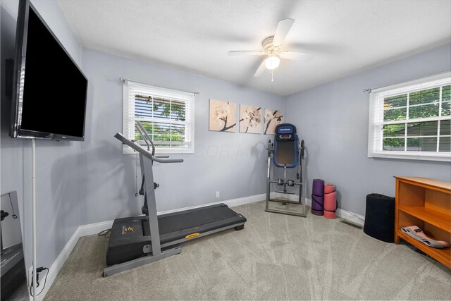 168 Lincolnshire Rd, Gahanna, OH 43230 - photo 17