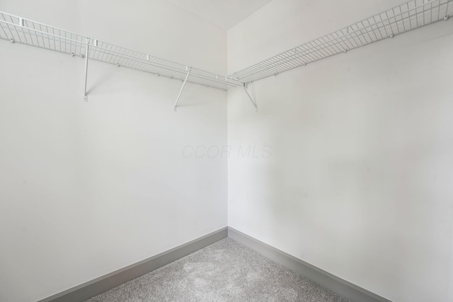 63 Hayden Ave, Columbus, OH 43222 - spacious closet with carpet flooring
