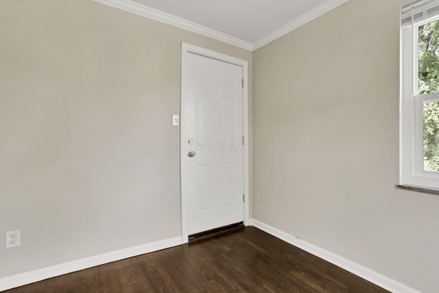 1009 Lilley Ave, Columbus, OH 43206 - photo 16