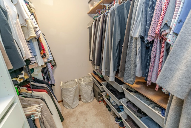 5805 Royal Lytham Ct, Dublin, OH 43017 - photo 27