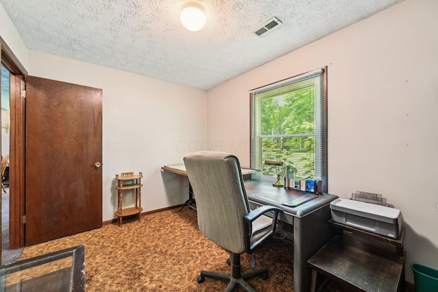 6769 Thoreau Ln NE, Baltimore, OH 43105 - carpeted home office featuring healthy amount of natural light, a textured ceiling, and baseboards