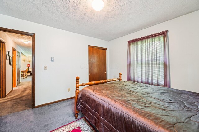 6769 Thoreau Ln NE, Baltimore, OH 43105 - bedroom with carpet floors, a closet, a textured ceiling, and baseboards