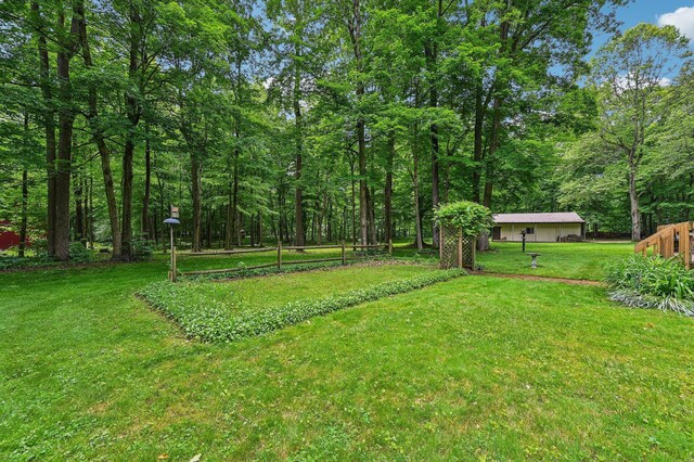 6769 Thoreau Ln NE, Baltimore, OH 43105 - view of grassy yard with a view of trees