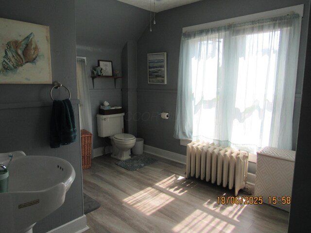 603 N Court St, Circleville, OH 43113 - bathroom with radiator, wood finished floors, and lofted ceiling