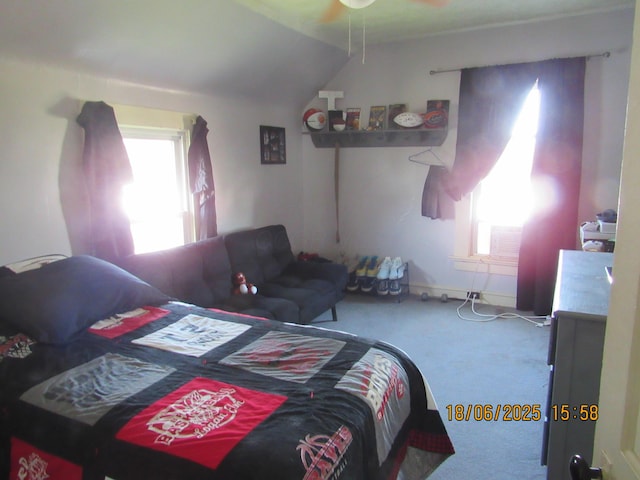 603 N Court St, Circleville, OH 43113 - carpeted bedroom featuring lofted ceiling