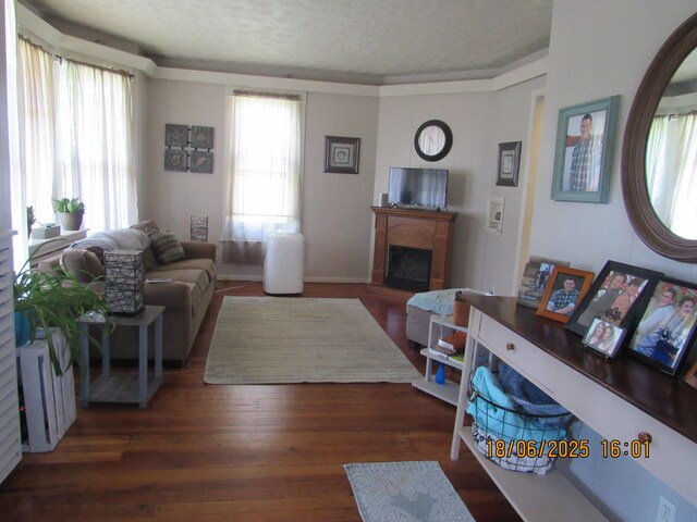 603 N Court St, Circleville, OH 43113 - living room with a fireplace, healthy amount of natural light, wood finished floors, radiator, and a textured ceiling