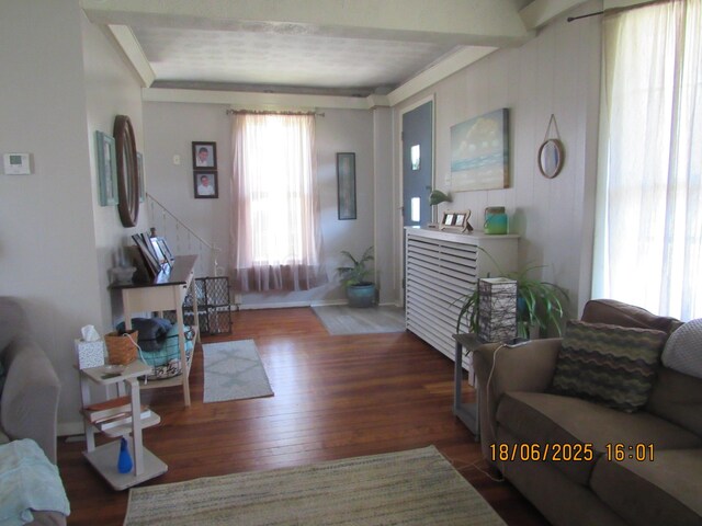 603 N Court St, Circleville, OH 43113 - living room featuring wood finished floors