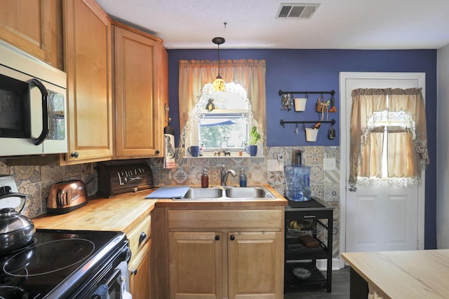 6769 Hildreth Ave, Columbus, OH 43229 - kitchen featuring stainless steel microwave, a sink, black / electric stove, backsplash, and wooden counters
