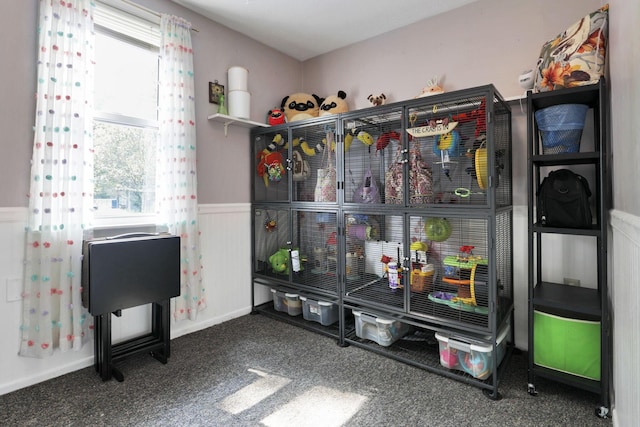 6769 Hildreth Ave, Columbus, OH 43229 - bar with wainscoting and carpet floors