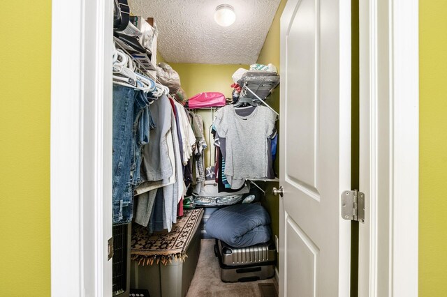 1420 Bellow Falls Pl, Columbus, OH 43228 - view of walk in closet