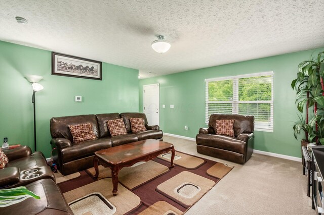 1420 Bellow Falls Pl, Columbus, OH 43228 - carpeted living area featuring baseboards and a textured ceiling