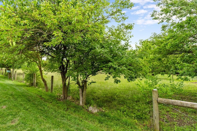 3736 Sanctuary, Hilliard, OH 43026 - view of yard