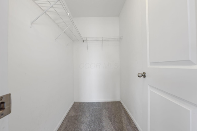 6310 Wagtail Rd Unit 6, Columbus, OH 43230 - walk in closet featuring carpet flooring