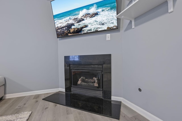 6310 Wagtail Rd Unit 6, Columbus, OH 43230 - detailed view of wood finished floors, baseboards, and a glass covered fireplace