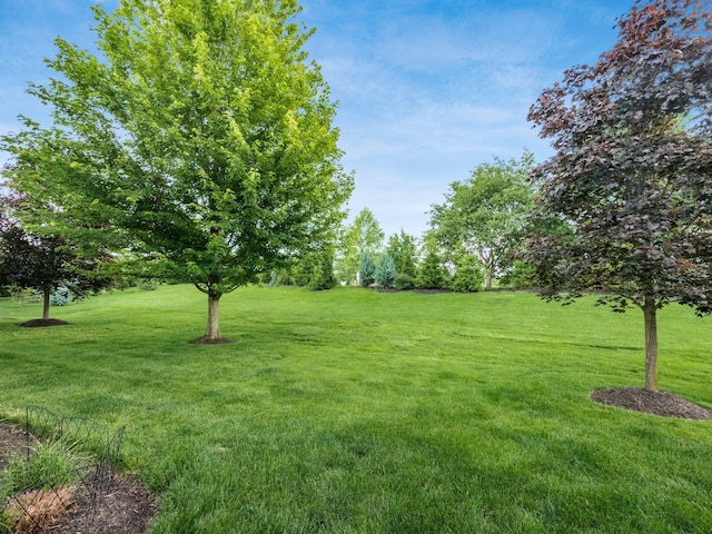 5788 Baronscourt Way, Dublin, OH 43016 - photo 75