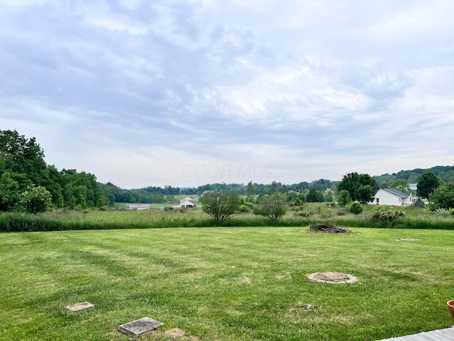20600 Hellwig Rd, Utica, OH 43080 - view of grassy yard featuring a view of rural / pastoral area