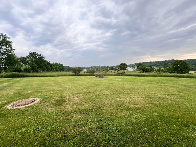 20600 Hellwig Rd, Utica, OH 43080 - view of grassy yard