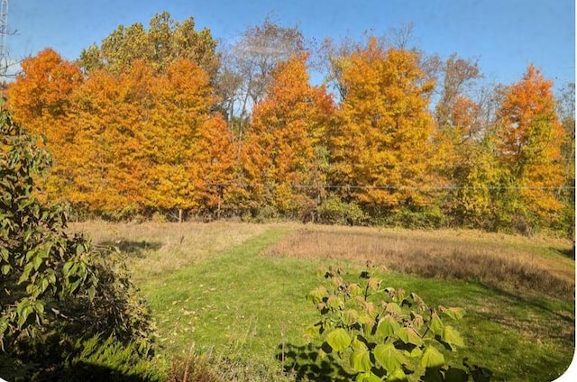 20600 Hellwig Rd, Utica, OH 43080 - view of yard