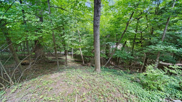 340 Canyon Dr S, Columbus, OH 43214 - photo 65
