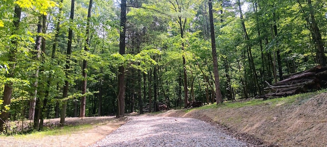 0 Mulberry St NE (Lot N Woods Flint Ridge), Newark, OH 43055