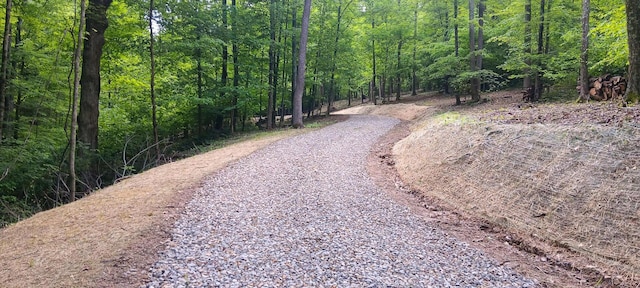 0 Mulberry St NE (Lot N Woods Flint Ridge), Newark, OH 43055