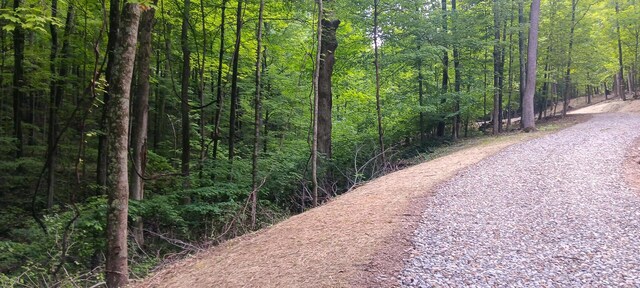0 Mulberry St NE (Lot N Woods Flint Ridge), Newark, OH 43055