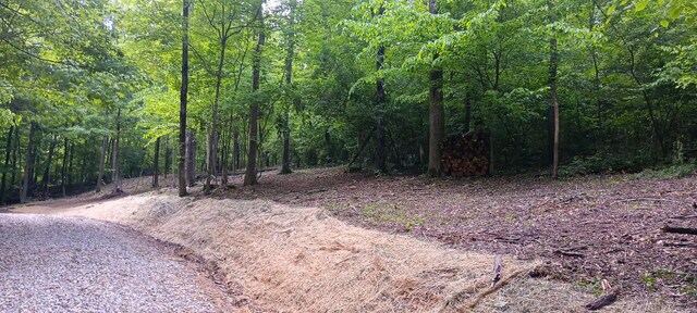 0 Mulberry St NE (Lot N Woods Flint Ridge), Newark, OH 43055