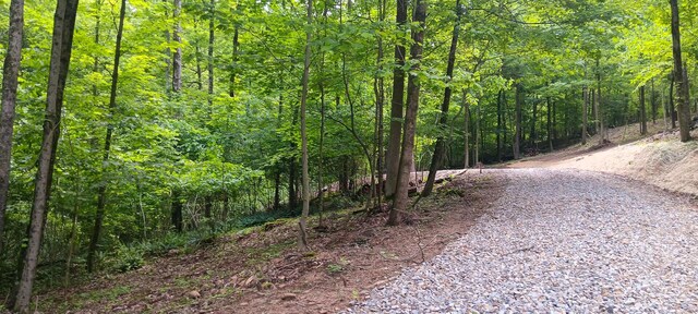 0 Mulberry St NE (Lot N Woods Flint Ridge), Newark, OH 43055