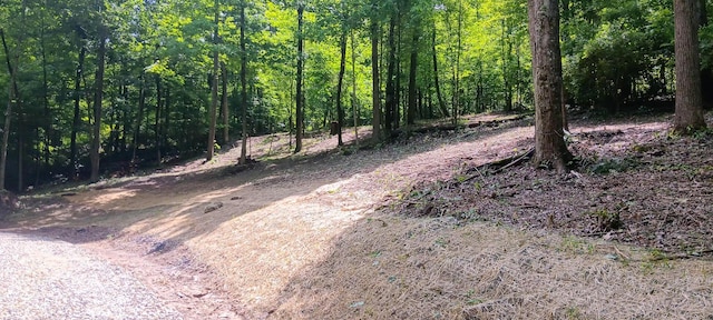 0 Mulberry St NE (Lot N Woods Flint Ridge), Newark, OH 43055