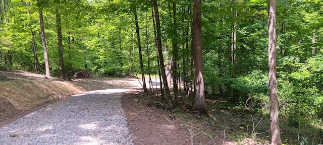 0 Mulberry St NE (Lot N Woods Flint Ridge), Newark, OH 43055