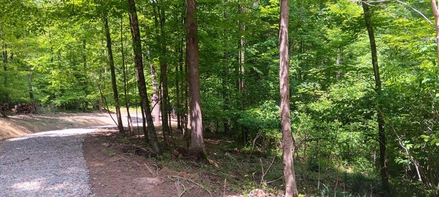 0 Mulberry St NE (Lot N Woods Flint Ridge), Newark, OH 43055