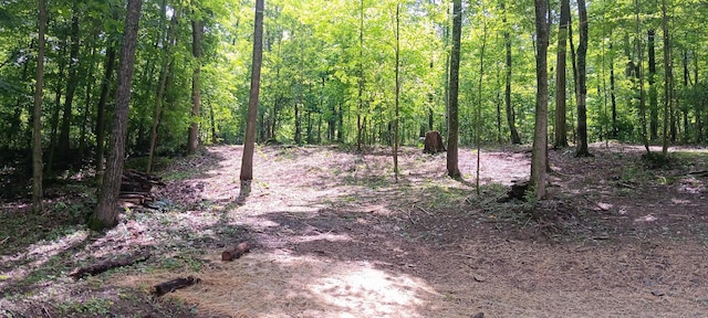 0 Mulberry St NE (Lot N Woods Flint Ridge), Newark, OH 43055