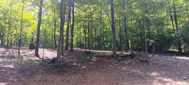 0 Mulberry St NE (Lot N Woods Flint Ridge), Newark, OH 43055