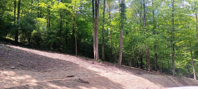 0 Mulberry St NE (Lot N Woods Flint Ridge), Newark, OH 43055