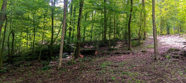 0 Mulberry St NE (Lot N Woods Flint Ridge), Newark, OH 43055