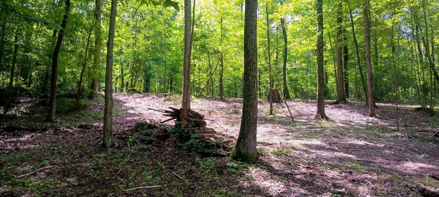 0 Mulberry St NE (Lot N Woods Flint Ridge), Newark, OH 43055