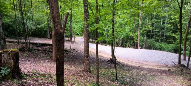 0 Mulberry St NE (Lot N Woods Flint Ridge), Newark, OH 43055
