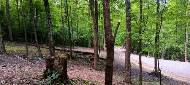 0 Mulberry St NE (Lot N Woods Flint Ridge), Newark, OH 43055