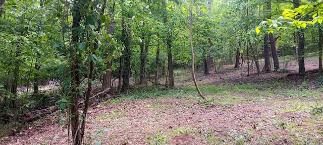 0 Mulberry St NE (Lot N Woods Flint Ridge), Newark, OH 43055