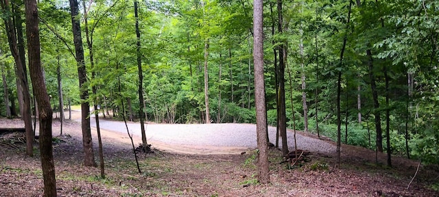 0 Mulberry St NE (Lot N Woods Flint Ridge), Newark, OH 43055