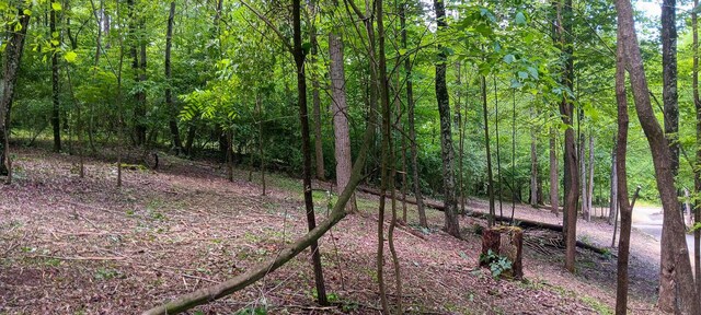 0 Mulberry St NE (Lot N Woods Flint Ridge), Newark, OH 43055
