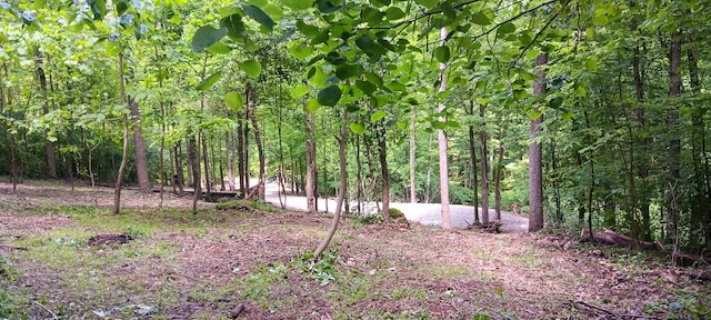 0 Mulberry St NE (Lot N Woods Flint Ridge), Newark, OH 43055