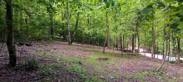 0 Mulberry St NE (Lot N Woods Flint Ridge), Newark, OH 43055