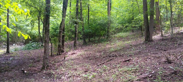 0 Mulberry St NE (Lot N Woods Flint Ridge), Newark, OH 43055