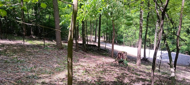 0 Mulberry St NE (Lot N Woods Flint Ridge), Newark, OH 43055