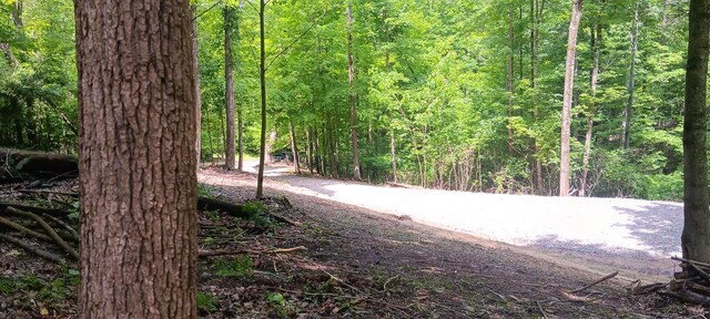 0 Mulberry St NE (Lot N Woods Flint Ridge), Newark, OH 43055